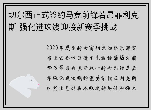 切尔西正式签约马竞前锋若昂菲利克斯 强化进攻线迎接新赛季挑战